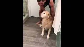 i won't take bath daddy 😂 funny video #Goldenretriever ( Golden retriever )