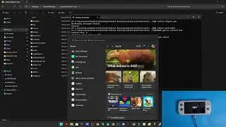 Install Android Platform Tools Drivers Windows