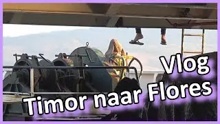Vlog - Timor naar Flores