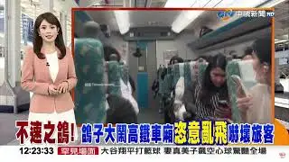 #中視午間新聞線上看 20241108 (週五)