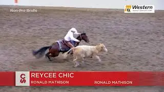 Calgary Stampede 2019 - July 12 - Working Cow Horse Non-Pro Bridle Winning Run - Ron Mathison