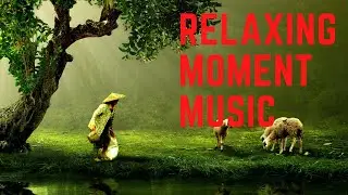 Fruit Background Relaxation Music.