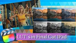 Lut´s in Final Cut fürs Ipad ?