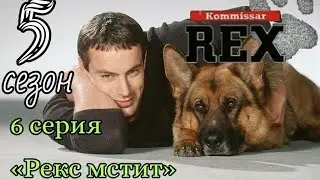 Комиссар Рекс, 5 сезон, 6 серия «Рекс мстит»
