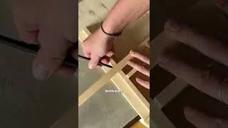 DIY squirrel house 🐿️ 