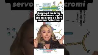 Tu chiamale se vuoi, emozioni