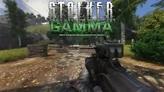 LUCKIEST STALKER ALIVE - GAMMA IRONMAN