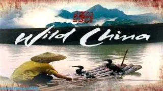 Wild China Soundtrack - Wild China Theme HD