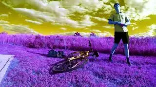 Travel by Speed