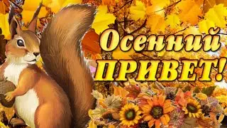 С добрым осенним утром!Пусть настроение будет прекрасным! Погода солнечной! Здоровье крепким!