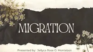What is Migration and Different types of Migration || Jellyca Rose