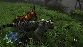 Far Cry 3 №6 вторая прогулка