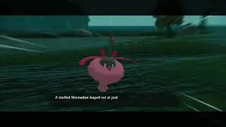 I Just Wanted to Check the Tree...