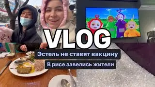 Новые домашние животные / Проблемы со спиной. Злюсь на доктора / Телепузики реальные?