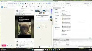 How to Export LinkedIn Connections (2026 Step-by-Step Guide)