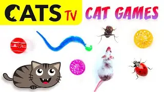 CAT TV 📺🐭 2025 Ultimate Compilation 🐭😻🪰 Best games for cats in 4K