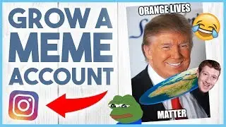 😂 HOW TO GROW A MEME PAGE ON INSTAGRAM - THE NICHE PROJECT #2 😂