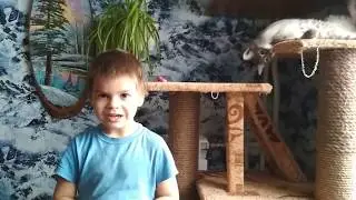 Мальчик и Кошечка