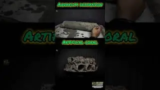 AQUARIUM DECORATION IDEAS || ARTIFICIAL CORAL STONE‼️
