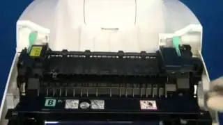 Xerox Phaser 6280 