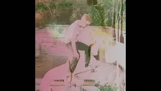 Zoo Brother - If I could