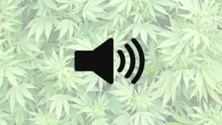 Censor Beep (SOUND EFFECT)