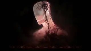 VIME - THE OTHER SIDE