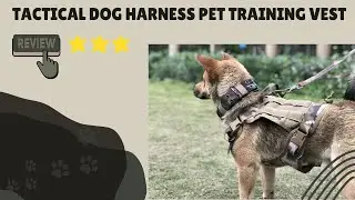 Tactical Dog Harness Pet Training Vest | Dogizz | Free Worldwide Delivery