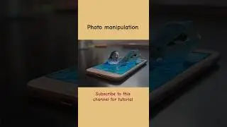 Photo manipulation 