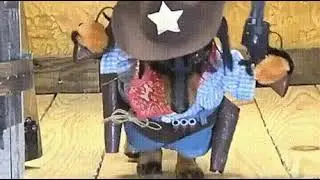 Эй Осторожно ковбой!!! Костюм для таксы!