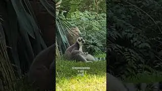 Этот мир абсолютно понятен