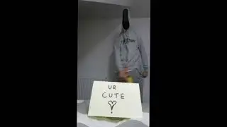 TikTokMeme.mp4