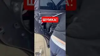 Changan cs55 plus. Вода в дверях 