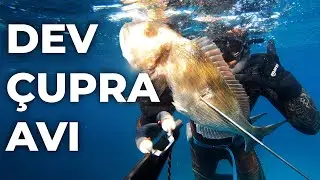 DEV ÇUPRA AVLADIK TUZDA BALIK PİŞİRDİK - Zıpkınla Balık Avı Vlog - 26
