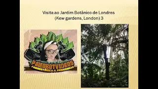 Visita ao Jardim Botânico de Londres (Kew gardens, London) 3