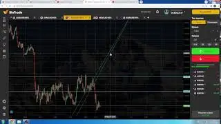 Bintradeclub торговля с нуля