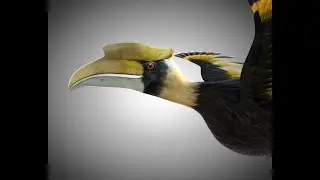 3D Model Horn Bill PBR Bird Rigged Low poly at 3DExport.com