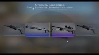 🔥🔥О том как я поднял СУВЕНИРНЫЙ AWP PINK DDPAT🔥🔥 Потратив ВСЕГО 27 ГРН(73 руб)🔥👻🔥👻