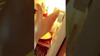 Дискотека холодильника;)))