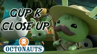 Octonauts -  Gup K Close Up