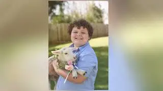 Lamb Mini Sessions
