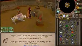 [RS] Darthsion95 gets 80 summoning 135 combat!