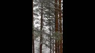 2.3.Чжуан-Цзы