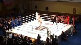 Шамиль Далаев проф бой