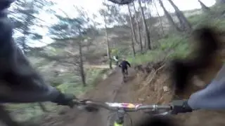 Avalancha RedBull HolyBike