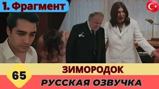 Зимородок Серия 57 Русский - 1. Фрагмент
