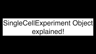 Demystifying SingleCellExperiment Object in R