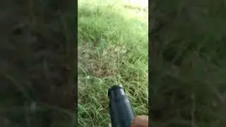 #short