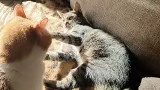 Бася Устроила РАЗБОРКУ !