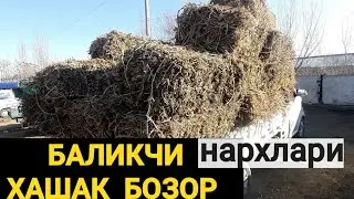 Баликчи Хашак бозори Мош, Сомон, Ерёнгок, Похол, Ут пресс ва жувари поя нархлар